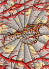 Abstract Dragon Sketch '08 Thumb