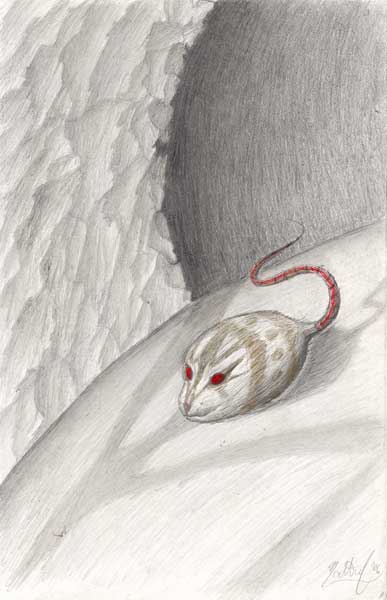 Mouse Ball Sketch '06