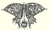 PnI Enigmatic Butterfly 4