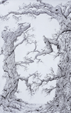Trees of Life Thumbnail